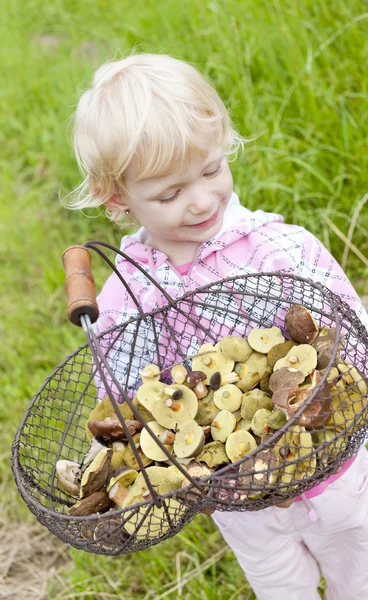Little girl with basket of mushrooms — Stock Photo, Image