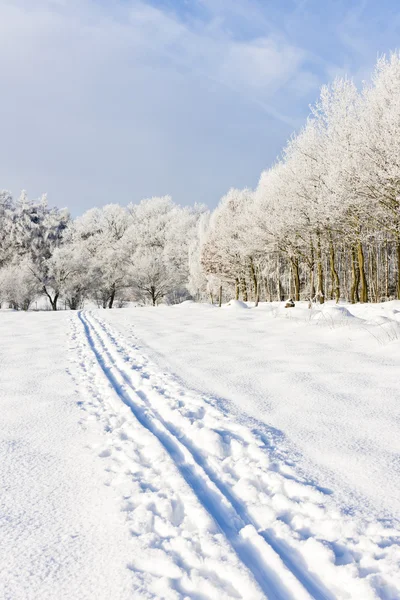 Зимний пейзаж, Чехия — стоковое фото
