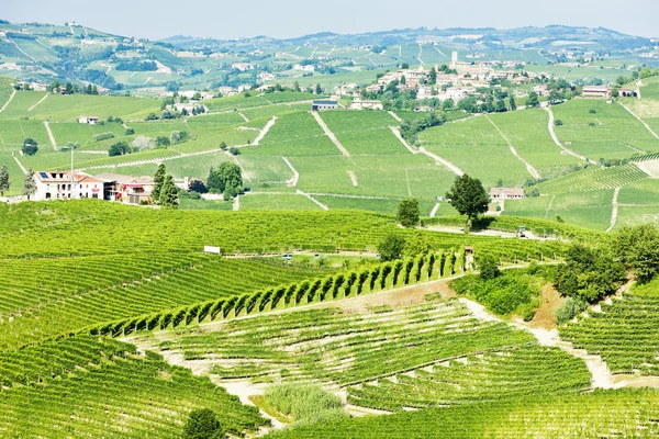 Vineyars w pobliżu barolo, Piemontu, Włochy — Zdjęcie stockowe