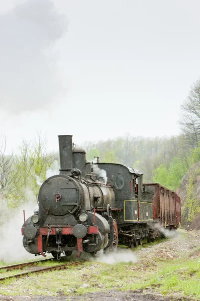 Steam freight train (126.014), Resavica, Serbia Stock Photo