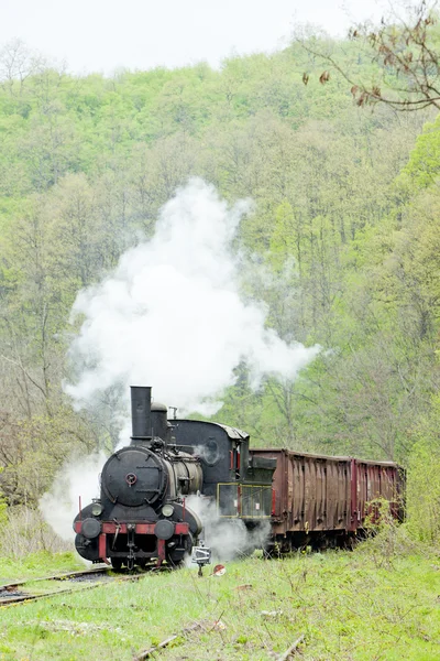 Steam freight train (126.014), Resavica, Serbia Royalty Free Stock Images