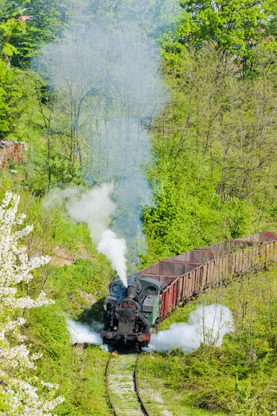 Steam freight train, Durdevik, Bosnia and Hercegovina Royalty Free Stock Photos