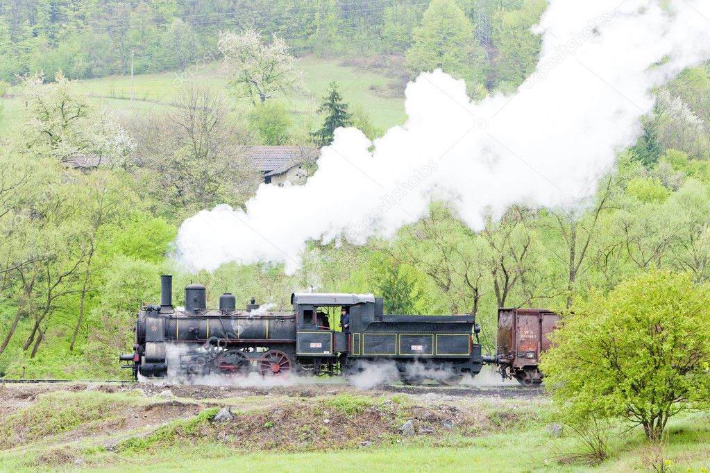 Steam locomotive (126.014), Resavica, Serbia