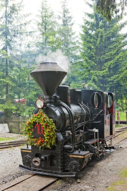 Buharlı lokomotif Müzesi, kysuce Köyü, vychylovka, Slovakya