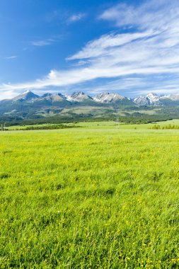 Vysoke Tatry (High Tatras), Slovakia clipart