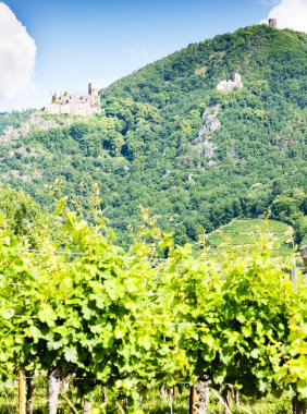 Chateau de saint-ulrich ribeauville, alsace, Fransa yakınındaki