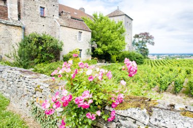 Gevrey-chambertin Kalesi, cote de nuits, Burgonya, Fransa