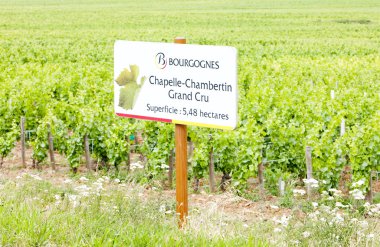 Grand cru vineyard of Chapelle-Chambertin, Cote de Nuits, Burgun clipart