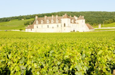 Clos Blanc De Vougeot Castle, Burgundy, France clipart