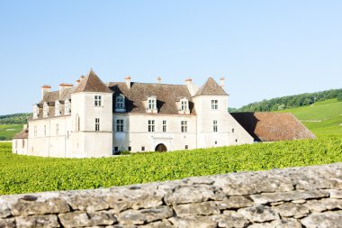 Clos blanc de vougeot Kalesi, Burgonya, Fransa