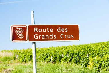 Wine route, Burgundy, France clipart