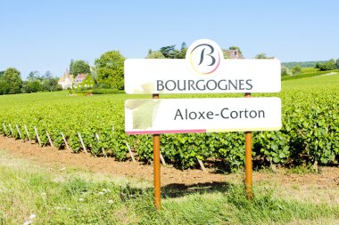 Vineyards of Aloxe-Corton, Burgundy, France clipart