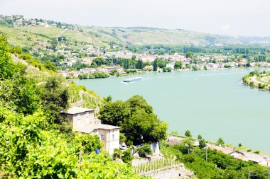 bağ, chateau grillet, Rhône-alpes, Fransa