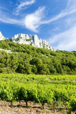 Vineyards near Gigondas at Col Du Cayron, Provence, France clipart
