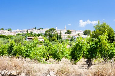 La Cadiere d'Azur with vineyards, Provence, France clipart