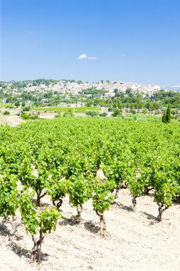 La CADIERE d'azur ile üzüm bağları, provence, Fransa