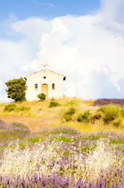 Şapel ile lavanta alan, plato de valensole, provence, fran