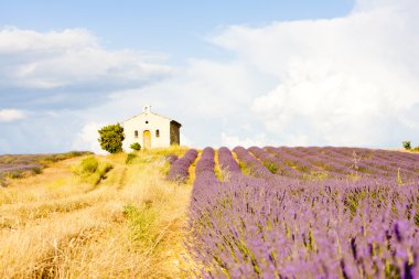 Şapel ile lavanta alan, plato de valensole, provence, fran