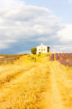 Şapel ile lavanta alan, plato de valensole, provence, fran