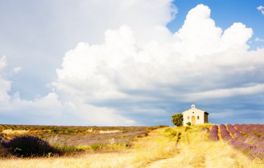 Şapel ile lavanta alan, plato de valensole, provence, fran