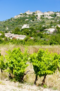 Gordes üzüm, provence, Fransa