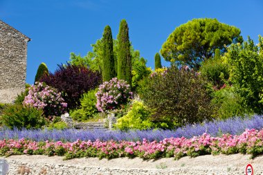 Garden at Gordes, Provence, France clipart