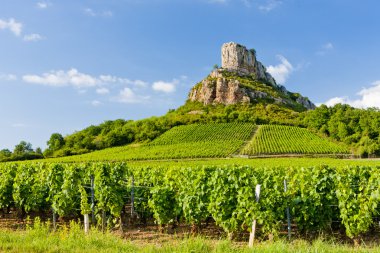 solutre kaya ile üzüm bağları, Burgonya, Fransa