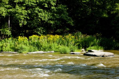 Sázava Nehri, Çek Cumhuriyeti