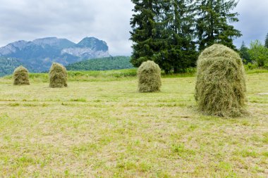 Belianske Tatry (Belianske Tatras), Slovakya