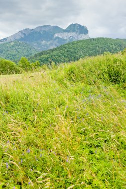 Belianske Tatry (Belianske Tatras), Slovakya