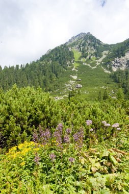 manzara popradske tarn, vysoke tatry (yüksek tatras), slova