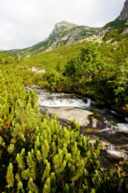 Büyük soğuk Vadisi, Vysoke Tatry (yüksek Tatras), Slovakya