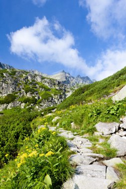 Büyük soğuk Vadisi, Vysoke Tatry (yüksek Tatras), Slovakya