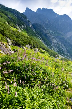 Büyük soğuk Vadisi, Vysoke Tatry (yüksek Tatras), Slovakya