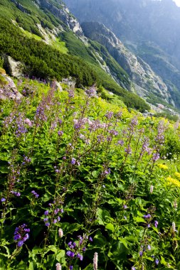 Büyük soğuk Vadisi, Vysoke Tatry (yüksek Tatras), Slovakya