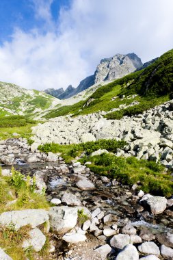 Büyük soğuk Vadisi, Vysoke Tatry (yüksek Tatras), Slovakya