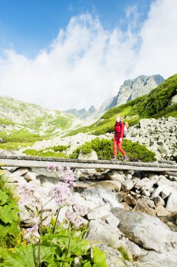 Kadın backpacker büyük soğuk Valley, Vysoke Tatry (yüksek Tatras