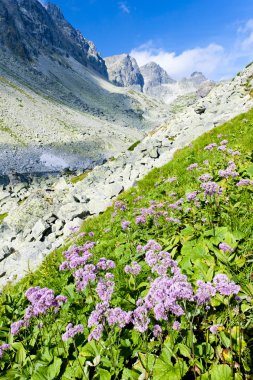 Valley under Prielom, Vysoke Tatry (High Tatras), Slovakia clipart