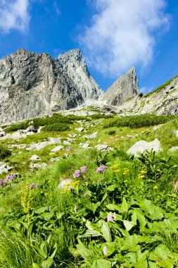 Küçük Soğuk Vadi, Vysoke Tatry (Yüksek Tatras), Slovakya