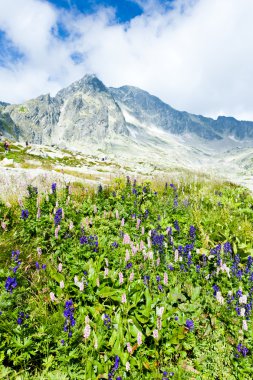 Küçük Soğuk Vadi, Vysoke Tatry (Yüksek Tatras), Slovakya