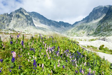 Küçük Soğuk Vadi, Vysoke Tatry (Yüksek Tatras), Slovakya