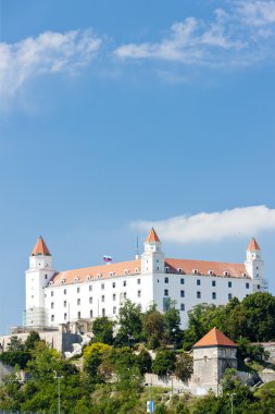 Bratislava Castle, Slovakia clipart