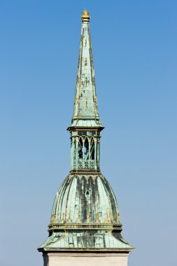 ayrıntı Katedrali, saint martin, bratislava, Slovakya