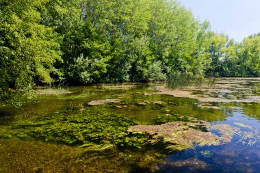 küçük danuba Nehri, Slovakya