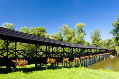 Covered wooden bridge, Kolarovo, Slovakia clipart