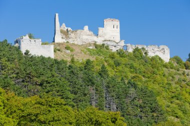 Slovakya 'daki Cachtice Kalesi kalıntıları