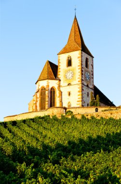 Üzüm bağı olan kilise, Hunawihr, Alsace, Fransa