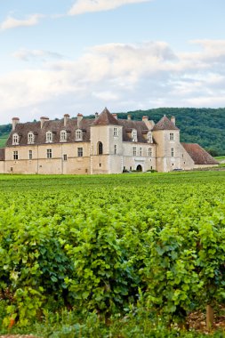 Clos blanc de vougeot Kalesi, Burgonya, Fransa