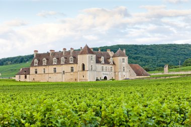 Clos Blanc De Vougeot Castle, Burgundy, France clipart