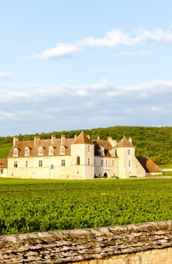 Clos blanc de vougeot Kalesi, Burgonya, Fransa